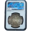 1891 S Morgan Silver Dollar MS65 NGC w/ Beautiful Toning