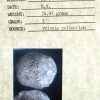 1715 Fleet Shipwreck 8 Reales w/ CoA #175