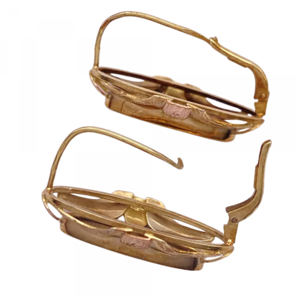 Elongated Tiger's Eye Earrings 14K Yellow & Rose Gold (1)