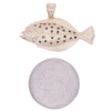Black Diamond Spotted Flounder Yellow Gold Size