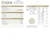 GIA Round Diamond Stud Halo Earrings 1.34 GIA 1