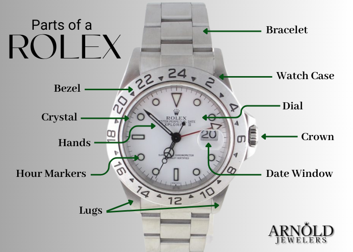 Parts of a Rolex Infographic - Arnold Jewelers