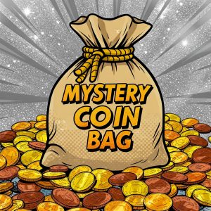 Mystery Coin Grab Bag Silver Tier