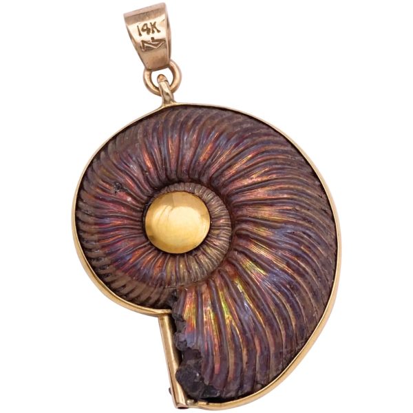 Fossilized Nautilus Shell Ammonite Pendant 14K Gold back