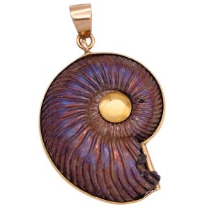 Fossilized Nautilus Shell Ammonite Pendant 14K Gold front