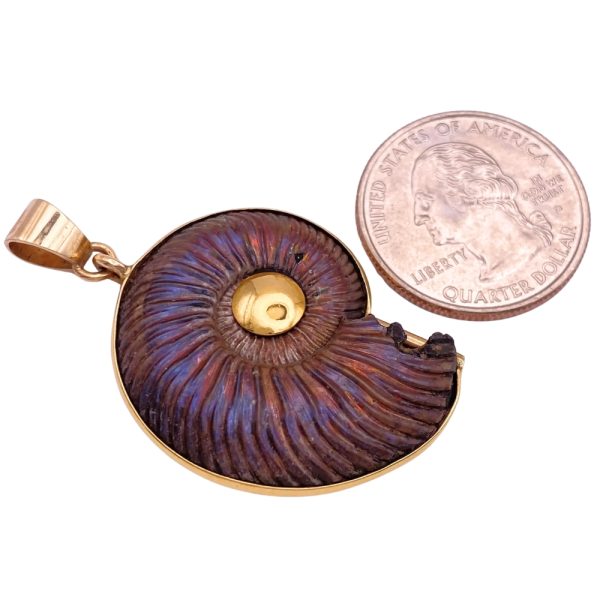 Fossilized Nautilus Shell Ammonite Pendant 14K Gold side