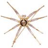 Tahitian Pearl Spider Brooch Pin with Diamond Accents 14K Gold back